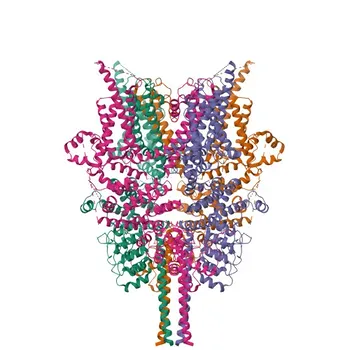 Anti-TRPC6 Polyclonal Antibody for WB, IHC-P, ELISA - Q9Y210