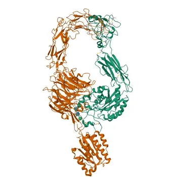 Anti-ITGB7 Polyclonal Antibody for WB, ELISA - P26010