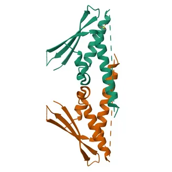 Anti-SNX15 Polyclonal Antibody for WB, IF/ICC, ELISA - Q9NRS6