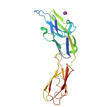 Anti-SIGLEC5 Rabbit Polyclonal Antibody for WB and ELISA - O15389