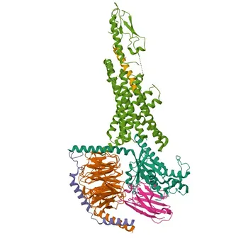 Anti-GLP1R Polyclonal Antibody for WB, IF/ICC, ELISA - P43220