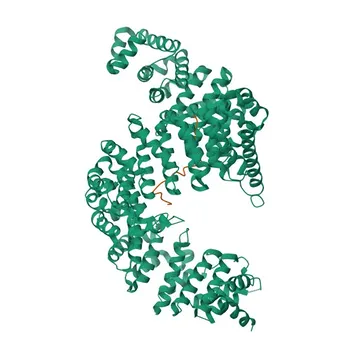 Anti-HNRNPM Polyclonal Antibody for WB, IHC-P, IF/ICC, ELISA - P52272