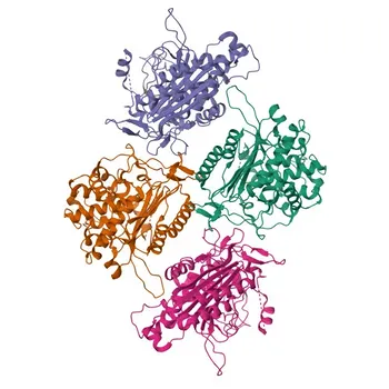 Anti-LACTB Polyclonal Antibody for WB and ELISA - P83111