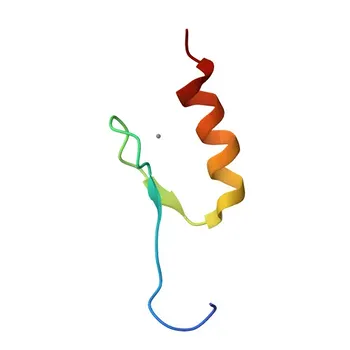 Anticorpo Policlonale di Coniglio Anti-SP1 per IHC-P, ELISA - P08047