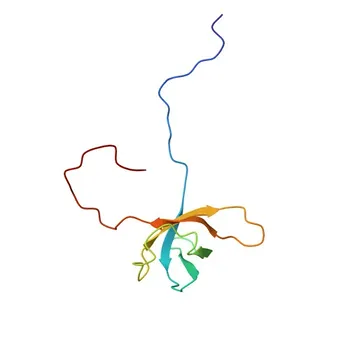 [Convalidato KO] Anticorpo policlonale di coniglio Anti-CSDE1 per WB, IF/ICC, IP, ELISA - O75534
