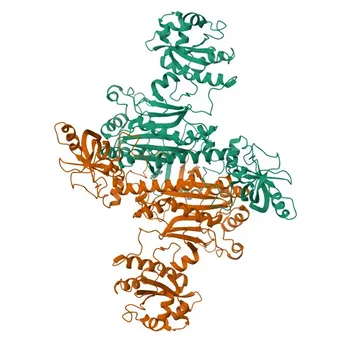 Anti-DARS2 Polyclonal Antibody for WB, IHC-P, ELISA - Q6PI48