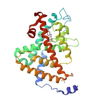 Anticorpo Policlonais Anti-THRA para WB, IHC-P, ELISA - P10827