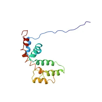 Anti-RGS5 Rabbit Polyclonal Antibody for WB, IHC-P, ELISA - O15539