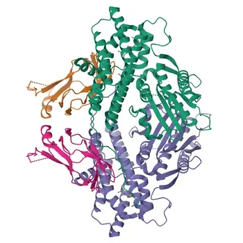 Anti-PDK3 Polyclonal Antibody for WB, ELISA - Q15120