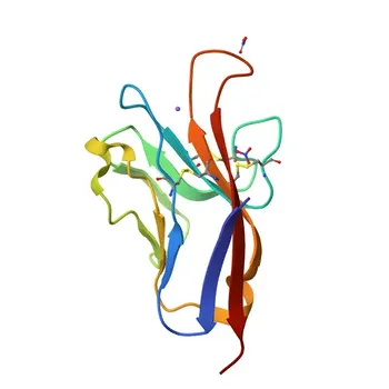 HAVCR1 Rabbit pAb - Q96D42