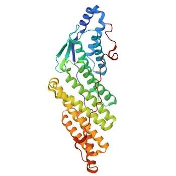 Anticorpo Policlonale di Coniglio Anti-PTPN23 per WB, IHC-P, ELISA - Q9H3S7