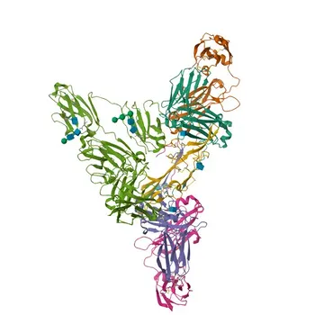 PIGR Rabbit Polyclonal Antibody for WB, IF/ICC, IHC-P, ELISA - O70570