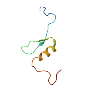 Anticorpo policlonale anti-KLF15 per WB, ELISA - Q9UIH9