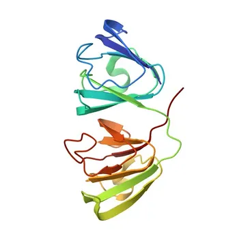 Anticorpo policlonale anti-CRYGC per WB, IF/ICC, ELISA - P07315
