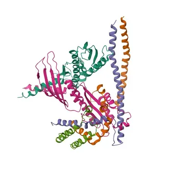 Anti-ITGB3BP Polyclonal Antibody for WB and ELISA - Q13352