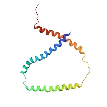 Anti-KCNE2 Rabbit Polyclonal Antibody for WB, ELISA - Q9Y6J6