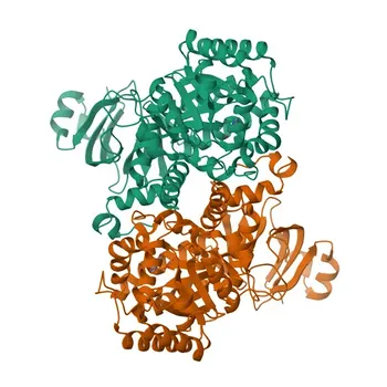 Anti-Guanine Deaminase (GDA) Rabbit Polyclonal Antibody for WB, ELISA - Q9Y2T3