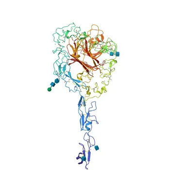 Anti-THBS2 Polyclonal Antibody for WB, ELISA - P35442