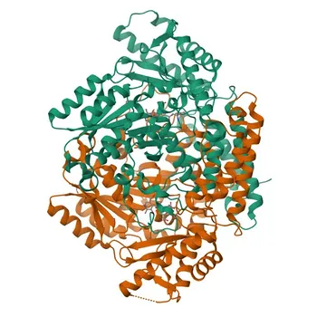 Anticorpo Policlonais Anti-GAD67/GAD1 para WB, IF-P, ELISA - Q99259