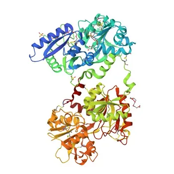 Anticorpo Monoclonal de Coelho Anti-Transferrina para WB, IHC-P, ELISA - P02787