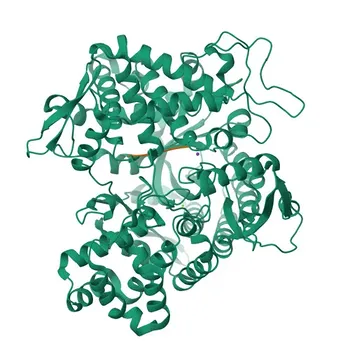 DPP3 Rabbit Polyclonal Antibody for WB, ELISA - Q9NY33