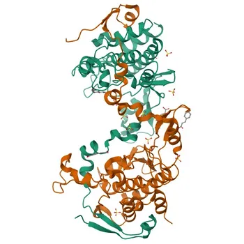 Anti-SPK (TOPK) Rabbit Polyclonal Antibody - Q96KB5