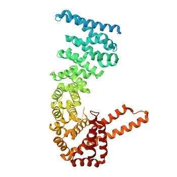 Anti-CTNNBL1 Polyclonal Antibody for WB, IF/ICC, and ELISA - Q8WYA6