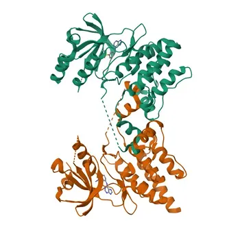 Anti-TNNI3K Polyclonal Antibody for WB, ELISA - Q59H18