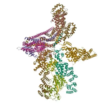 Anti-RNF7 Rabbit Polyclonal Antibody for WB, IF/ICC, ELISA - Q9UBF6