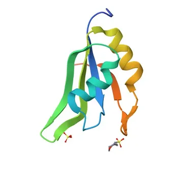 Anti-RBFOX1 Rabbit Polyclonal Antibody for WB, IF-P, ELISA - Q9NWB1