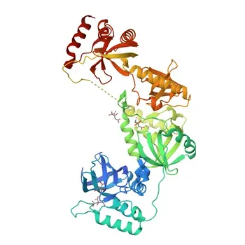 Anti-SND1 Rabbit Polyclonal Antibody (KO Validated) for WB, IHC-P, IF/ICC, IP, ELISA - Q7KZF4