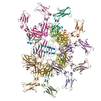 Anti-FAIM3 Rabbit Polyclonal Antibody for WB, ELISA - O60667