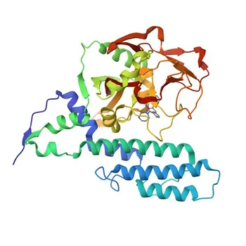 Anticorpo policlonale coniglio PARP3 per WB, IHC-P, IF/ICC, ELISA - Q9Y6F1