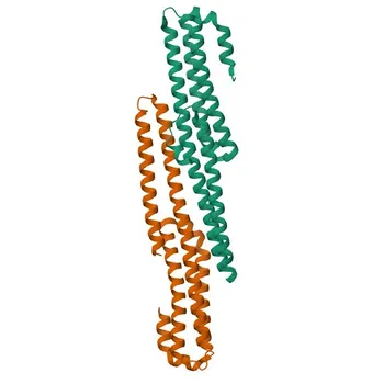 Anti-APLP2 Rabbit Polyclonal Antibody for WB, IF/ICC, ELISA - Q06481