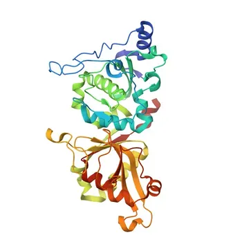 Anti-CAPN5 Polyclonal Antibody for WB, IF/ICC, ELISA - O15484