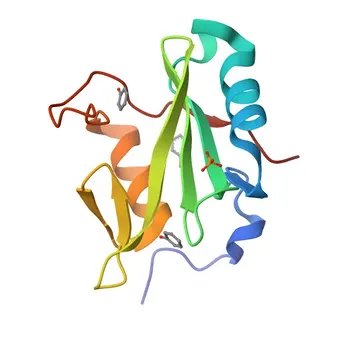 SH2B1 Rabbit pAb for IHC-P, IF/ICC, ELISA - Q9NRF2