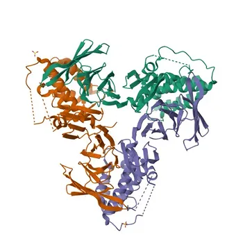 [Convalidato KO] Anticorpo Policlonale Anti-HIRA per WB, IHC-P, ELISA - P54198