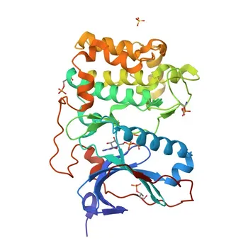 Anti-PRK2/PKN2 Monoclonal Antibody for WB and ELISA - Q16513