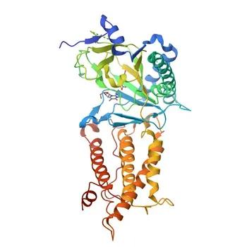 Anti-FTO Rabbit Monoclonal Antibody for WB, IHC-P, ELISA - Q9C0B1