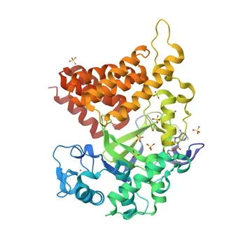 Anticorpo policlonale anti-SMYD2 per WB/IF/ELISA - Q9NRG4
