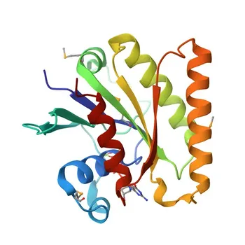 Anticorpo Policlonale di Coniglio Anti-RRAGD per WB, IHC-P, ELISA - Q9NQL2