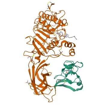 Anti-PNLIP Rabbit Polyclonal Antibody for WB, IF-P, ELISA - P16233