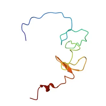 Anti-FHL3 Polyclonal Antibody for WB, IF/ICC, ELISA - Q13643