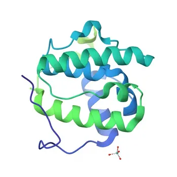 MAPRE1 Rabbit pAb - Q15691
