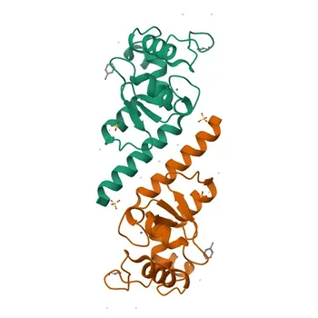 Anticorpo policlonale anti-AGFG1 per WB e ELISA - P52594