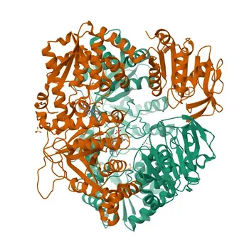 Anticorpo Policlonale Anti-GMPS per WB, IP, ELISA - P49915