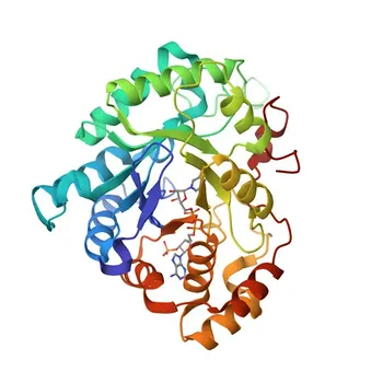 Anticorpo Policlonal de Coelho Anti-AKR1C4 para WB, ELISA - P17516