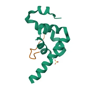 Anti-LARP4 Polyclonal Antibody for WB, IF/ICC, ELISA - Q71RC2