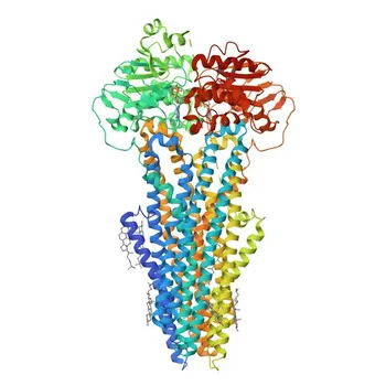 Anti-ABCB4 Polyclonal Antibody for WB, ELISA - P21439