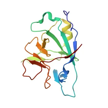 Anticorpo policlonale anti-IL36A per WB, ELISA - Q9UHA7